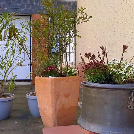 Lee * 바트노이에나르아르바일러