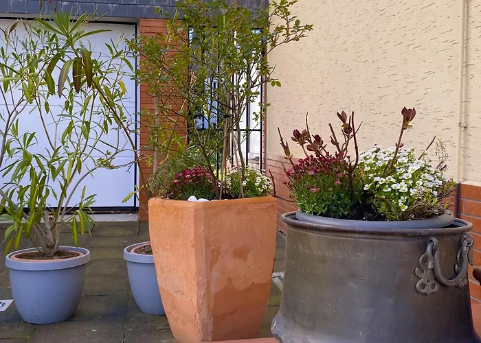 Lee * 바트노이에나르아르바일러